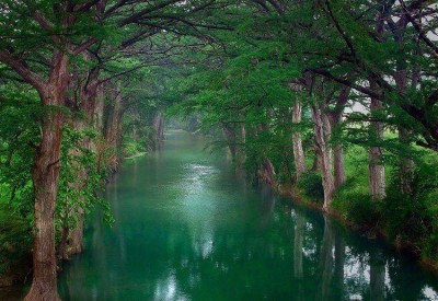 4月21日おはようございます(*^_^*)