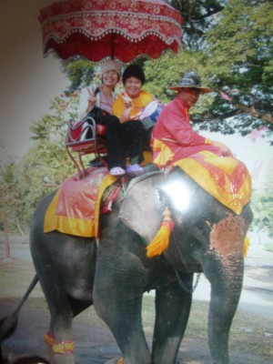 タイの象さんはどうしてる？？？