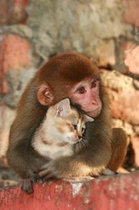 2031_460948667334221_105218362_n