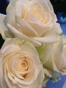 295520_486594148082156_1026881003_n