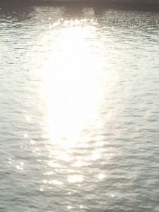 1150263_426843944102186_1696254352_n