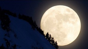 1000504_670851176282589_1293062450_n