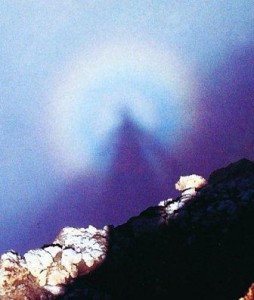 305808_376650005788247_81509683_n