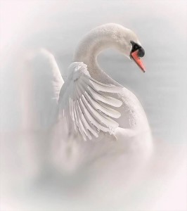 39283_538424269546694_1729139704_n