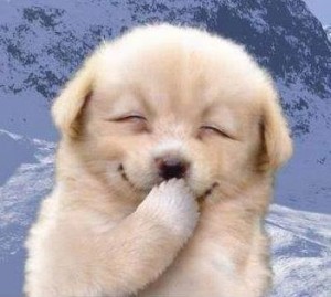 486259_486545824734539_1594728299_n