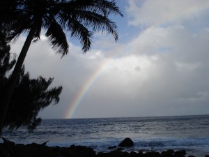 20090815205-6EFBDB1EFBE97EFBE8EEFBE8EE381AEE6B5B7E381ABE899B92s-ec10a