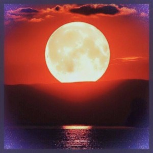 12548996_10153434821677615_6941909789868952225_n