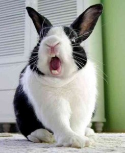 4548f8ca9521a4756e848b423ddfd171_10946