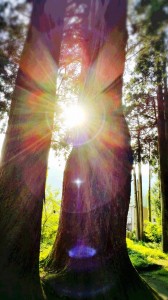 16-06-18-16-59-03-785_deco