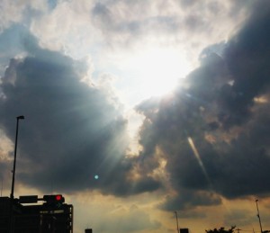 名古屋で大きな翼