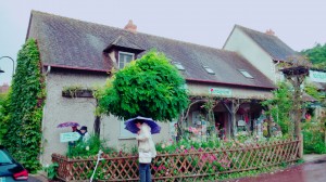 17-09-14-11-44-44-245_deco