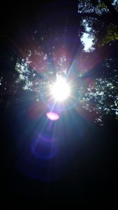 17-10-09-16-34-23-510_deco