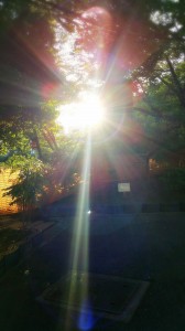 17-06-03-08-39-09-825_deco