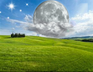 Screenshot_2018-04-08-12-53-05-1