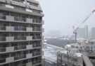 東京も雪⛄です
