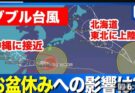 台風15号.愛猫