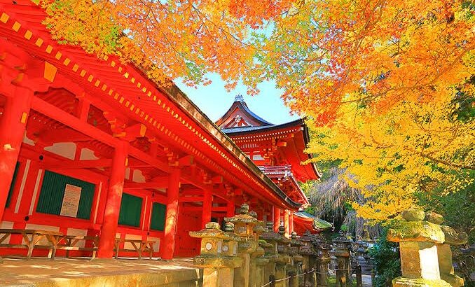 【2025古都芸術祭】春日大社　感謝・共生の館